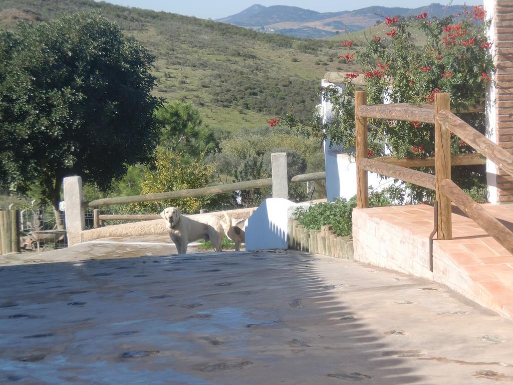 Horta Da Quinta Pensionat Mértola Exteriör bild